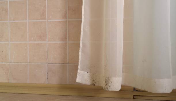 Best Biohazard Mold Removal  in East Merrimack, NH