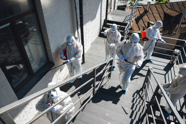 Professional Mold Removal in East Merrimack, NH