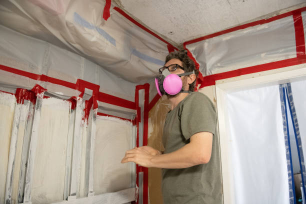  East Merrimack, NH Mold Removal Pros
