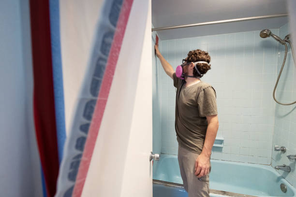 Best Black Mold Removal  in East Merrimack, NH