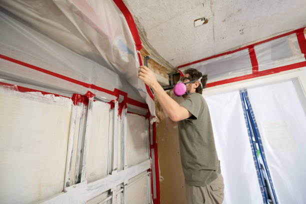 Best Mold Prevention Services  in East Merrimack, NH